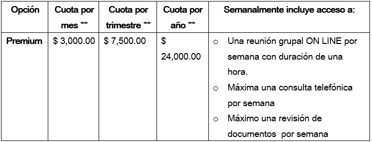 membresía de consultoría premium